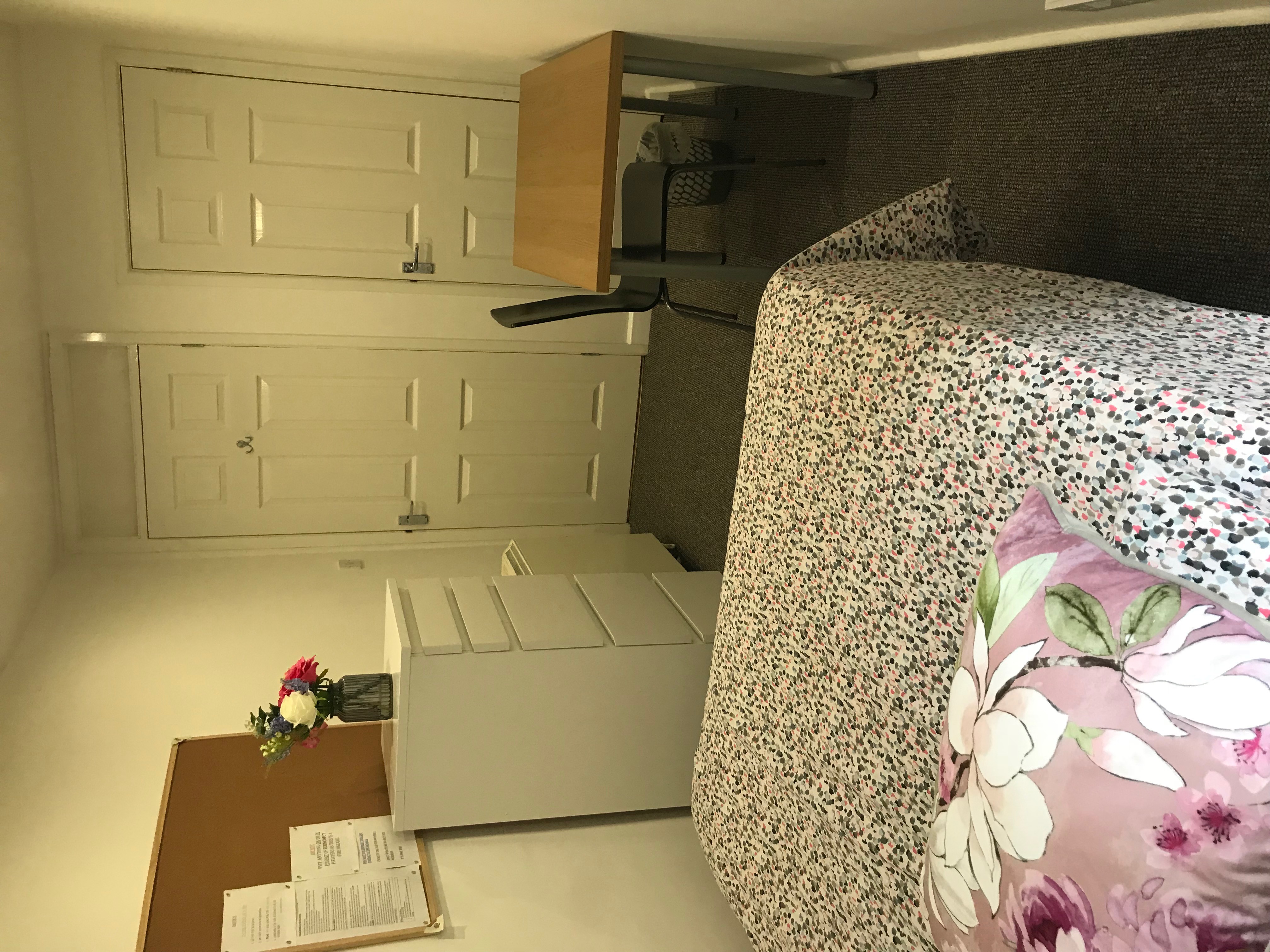 2 bed flat - Basement Flat, 48 Old Tiverton Road, Exeter