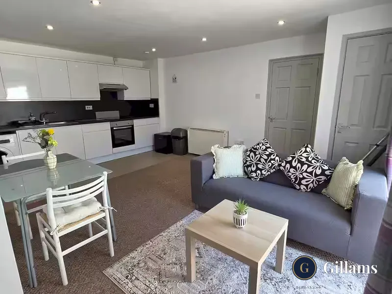 2 bed flat - Basement Flat, 48 Old Tiverton Road, Exeter, DEVON EX4 6NG